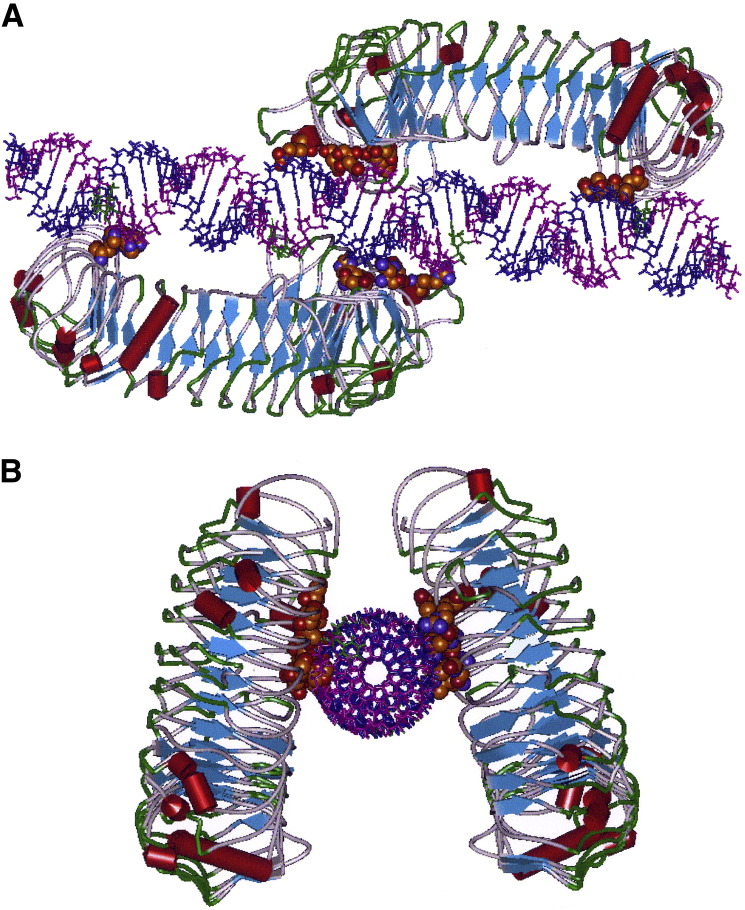 Figure 2