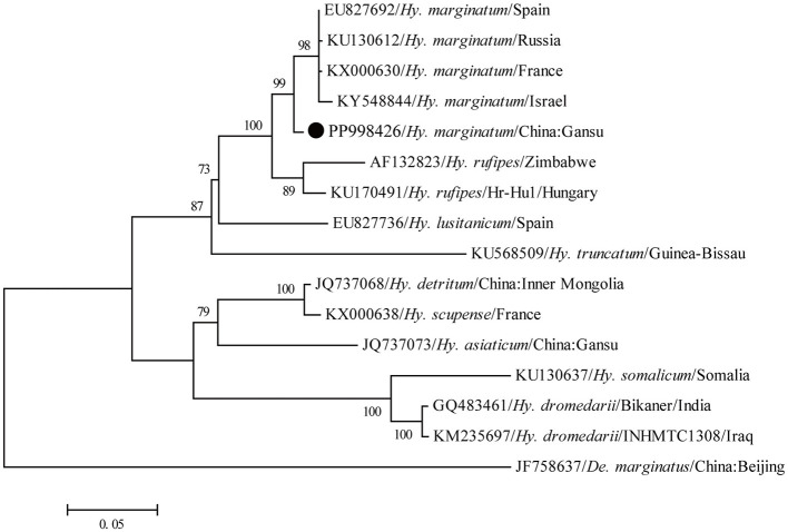 Figure 2