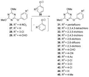 Scheme 7