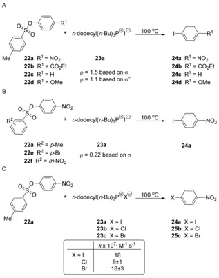 Scheme 6