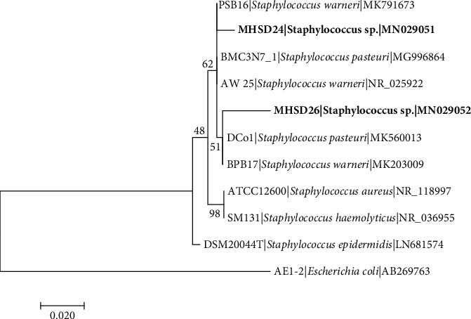 Figure 1