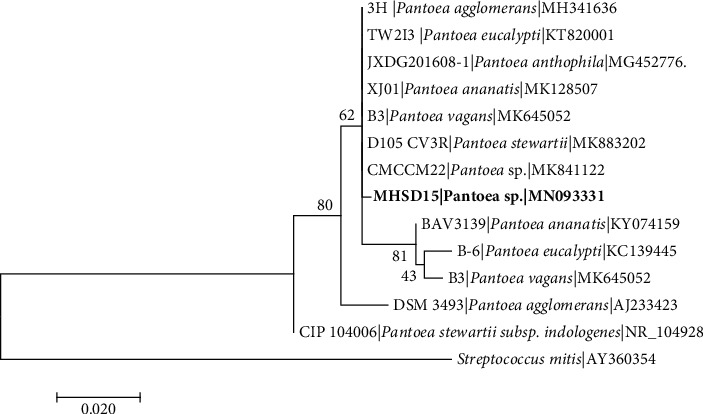 Figure 4