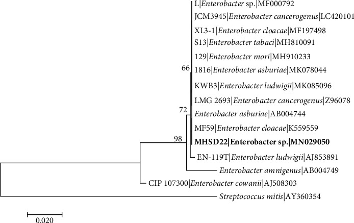 Figure 2