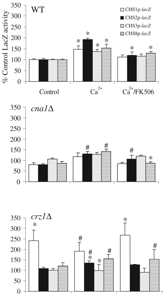 Fig. 5