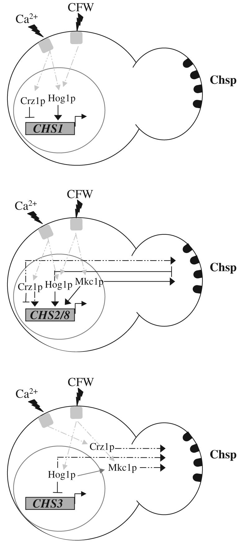 Fig. 9