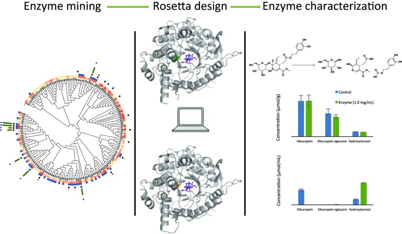 graphic file with name ao-2018-02169b_0007.jpg