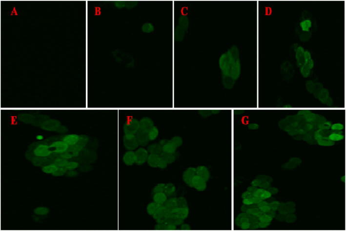 Fig. 13