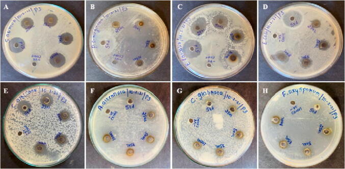 Fig. 10