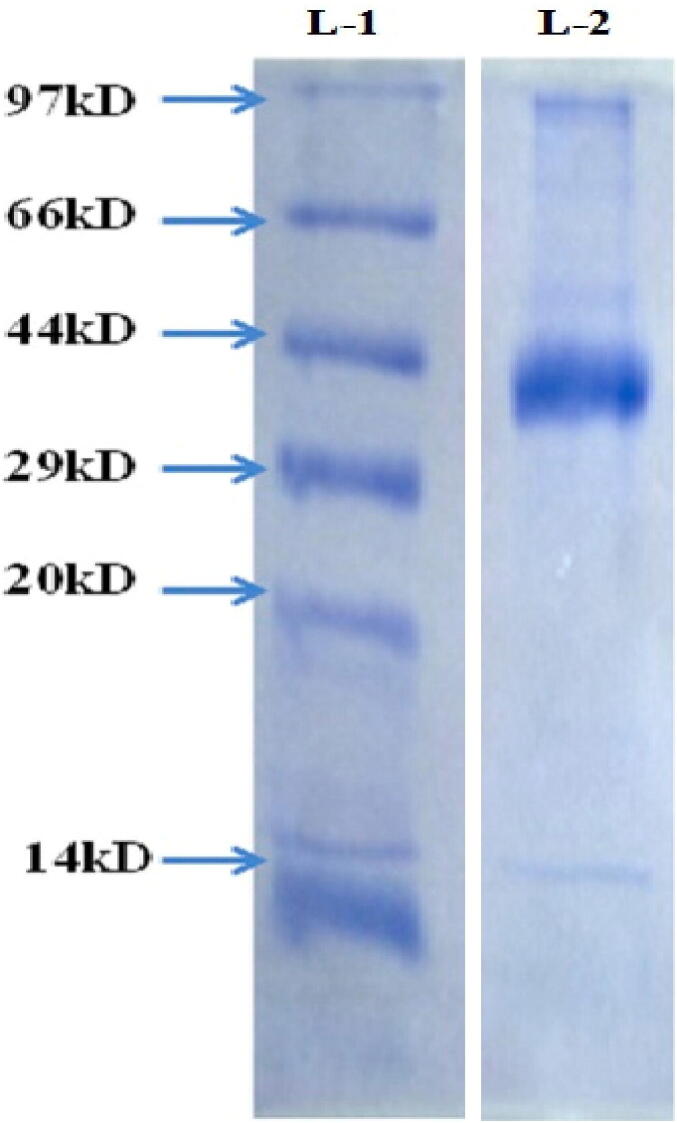 Fig. 14