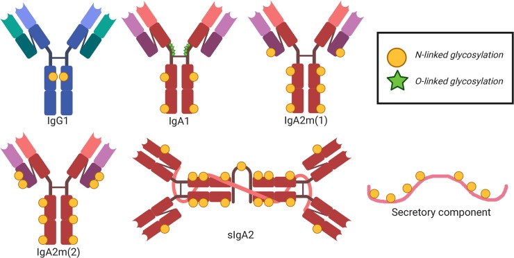 Fig 2