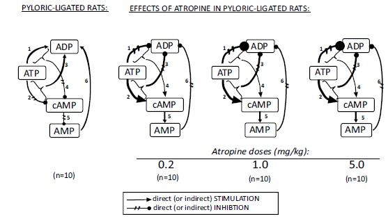 Fig. (6)