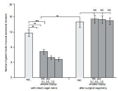 Fig. (9)