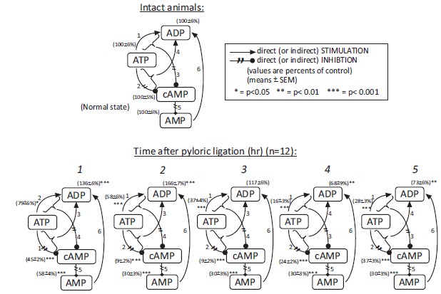 Fig. (3)