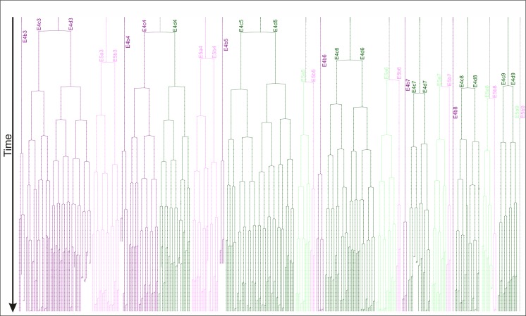 Figure 5—figure supplement 1.