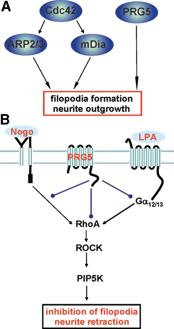 Figure 12.