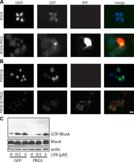 Figure 11.