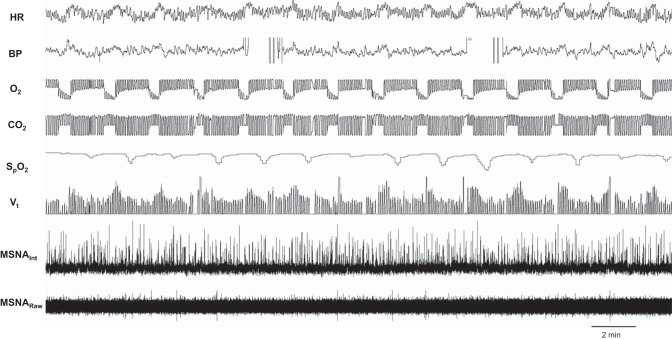 Fig. 1.