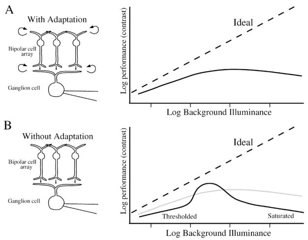 Figure 22