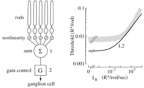 Figure 18