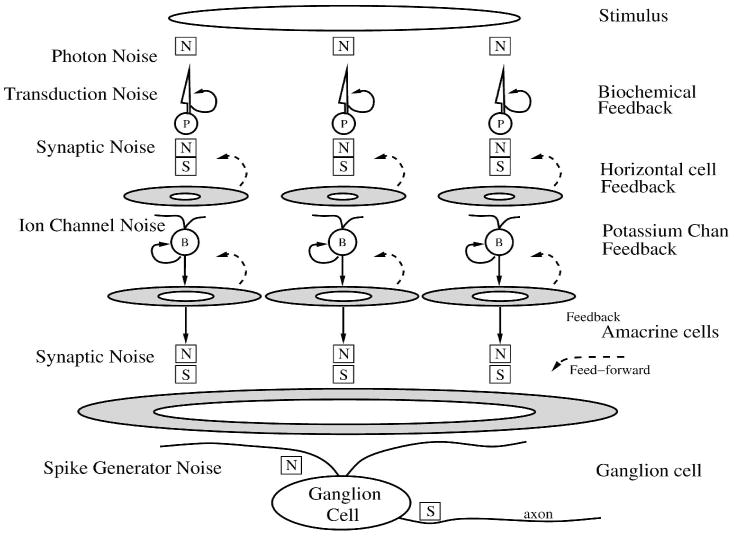 Figure 14