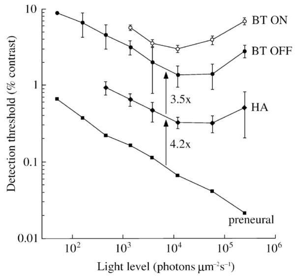 Figure 19