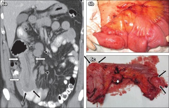 Fig. 6