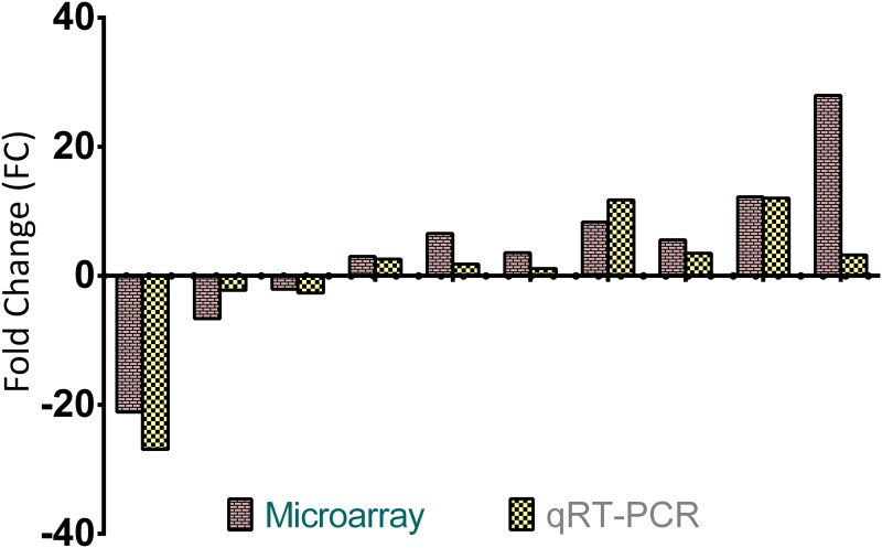 Fig 4