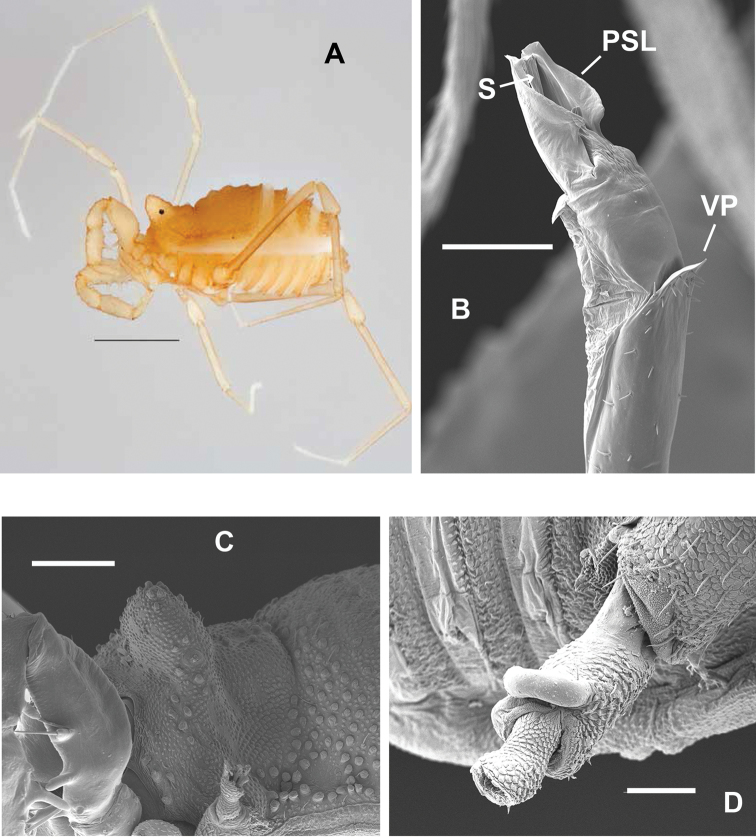 Figure 11.