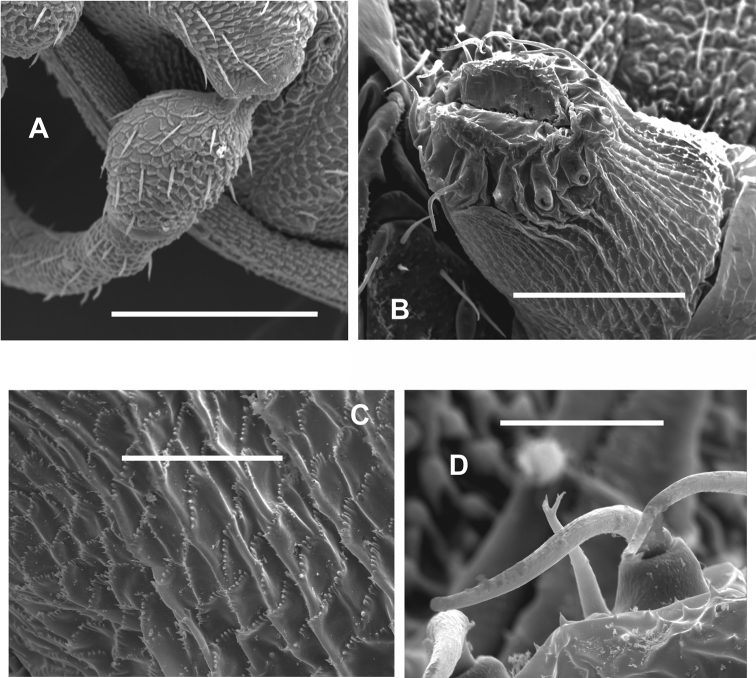 Figure 10.