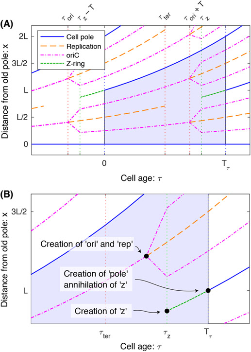 FIG. 1.