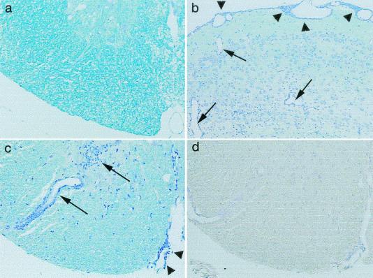 FIG. 9.