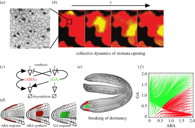 Figure 3.