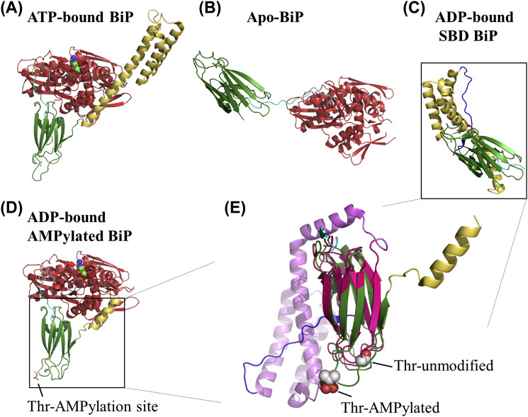 Fig. 4