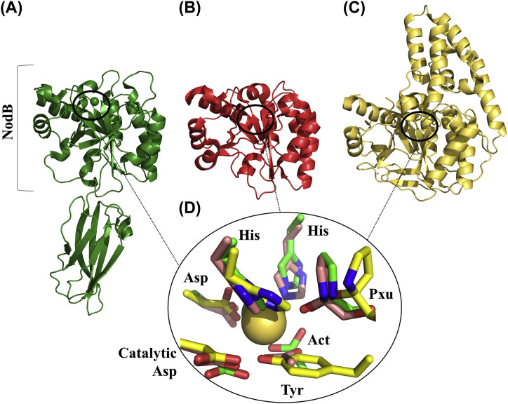 Fig. 1