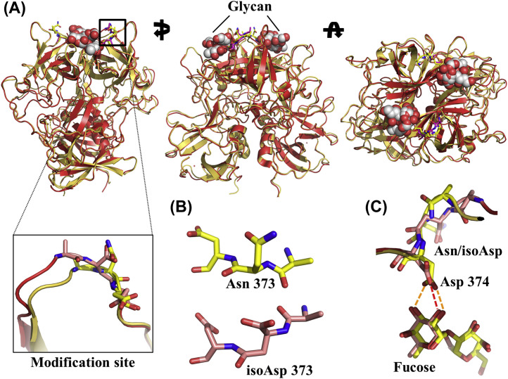 Fig. 2