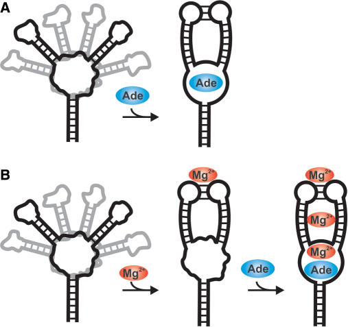 Figure 7.