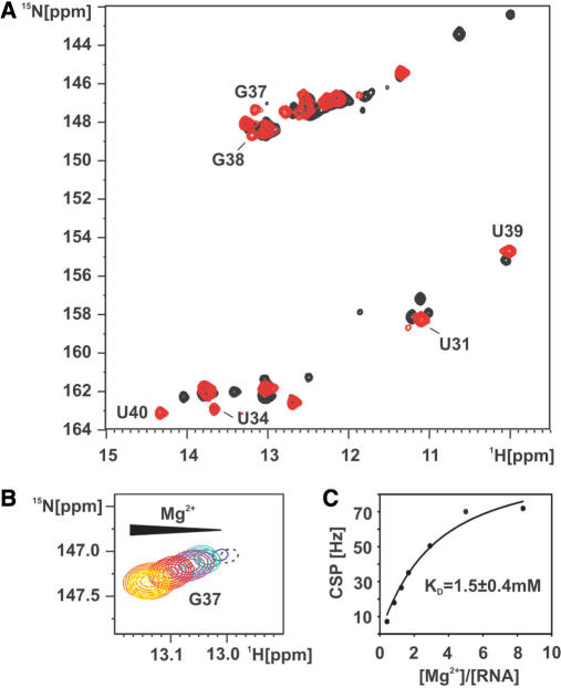 Figure 5.