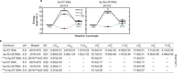 Extended Data Figure 6