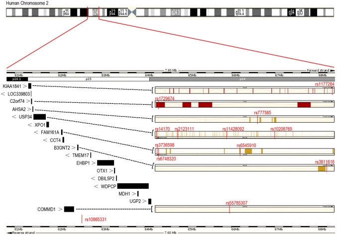 Fig 1