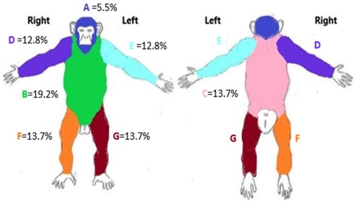 Figure 7