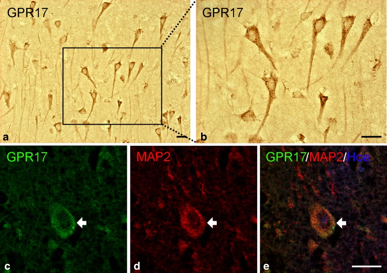 Fig. 5