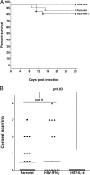 FIG 6