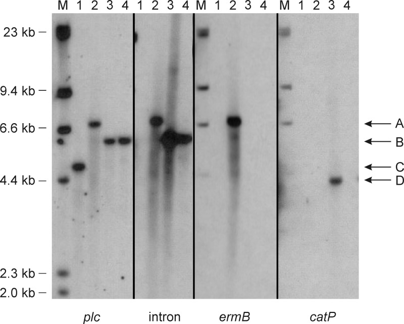 FIG 1