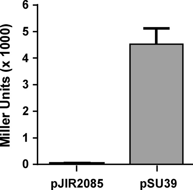 FIG 2