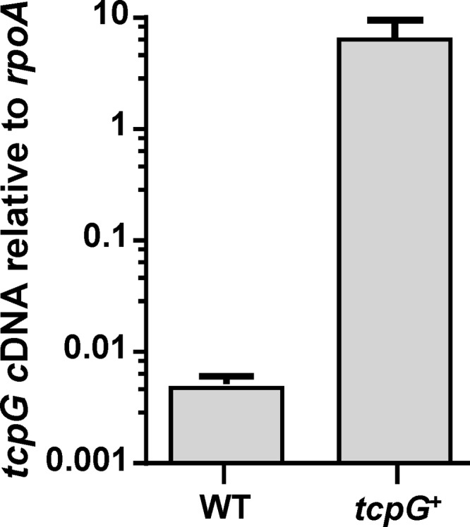 FIG 3