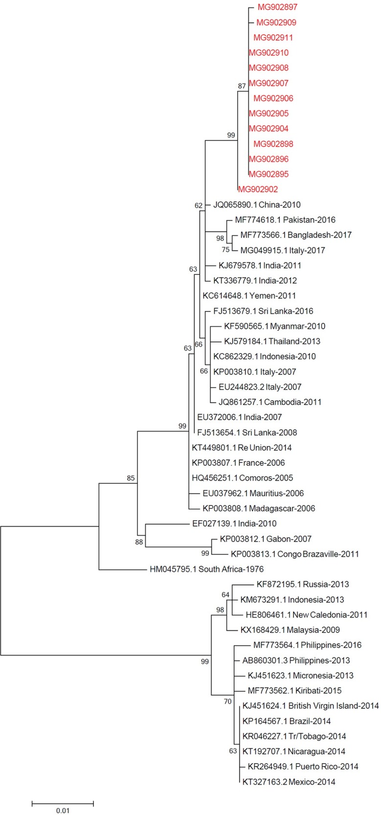 Fig 3