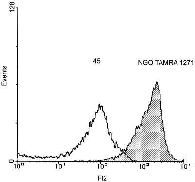 FIG. 4