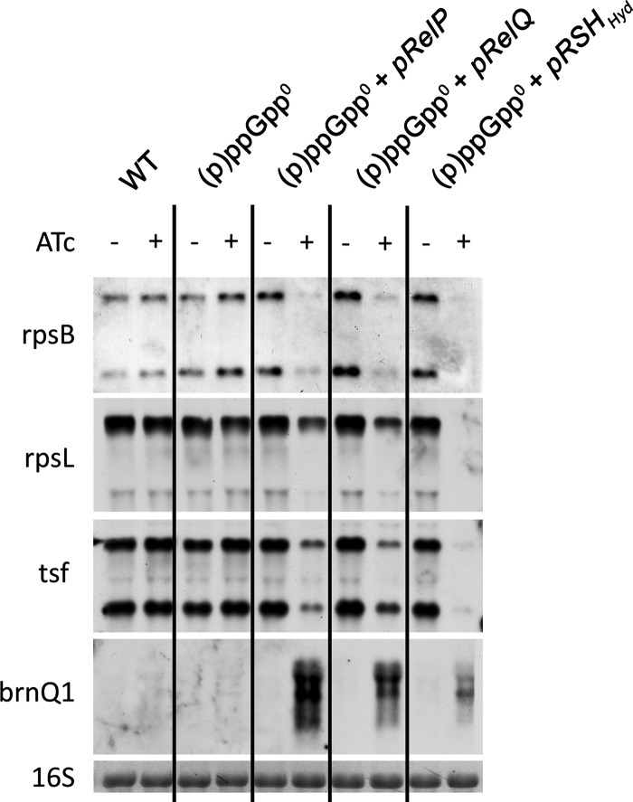 FIG 4