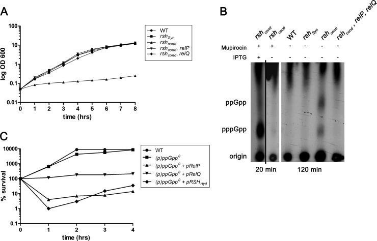 FIG 1