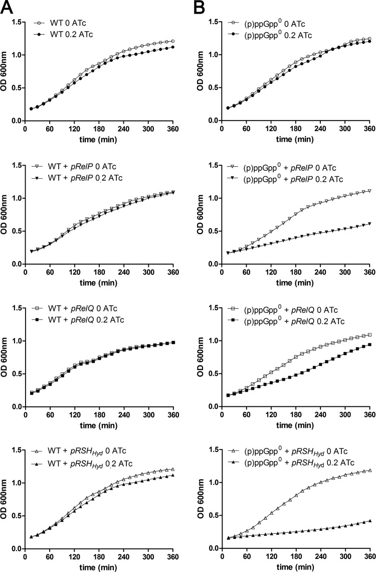 FIG 2